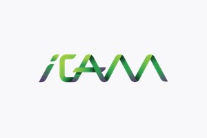 iCAM Group исполняется 12 лет