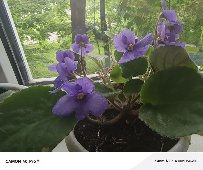 Фото объекта в статике на TECNO Camon 40 Pro в режиме AI Cam