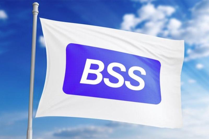 TAdviser: BSS — топ-2 в рейтинге ИТ-поставщиков для банков