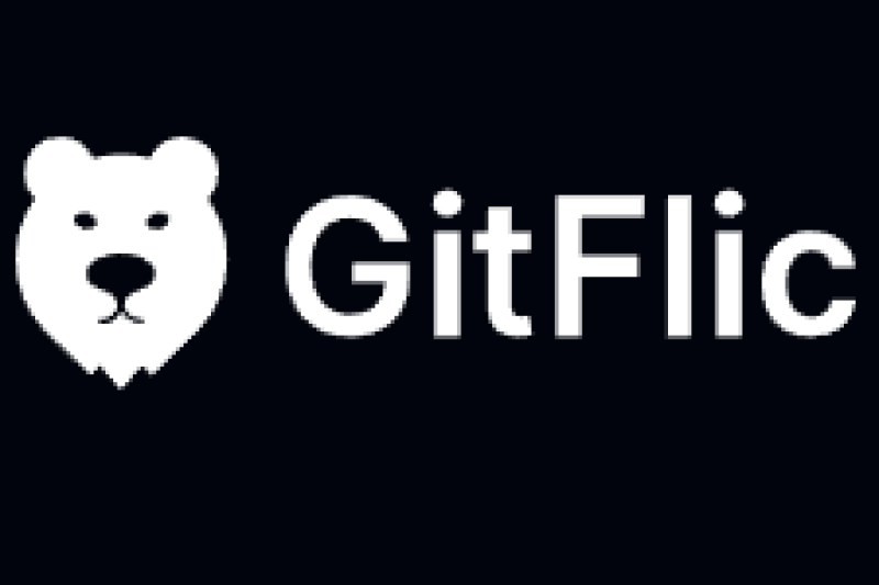 GitFlic 4.6.0: расширение возможностей CI/CD, поддержка новых реестров пакетов и усиление безопасности