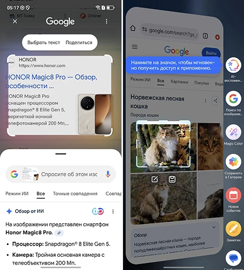 Быстрое распознавание и поиск с помощью AI