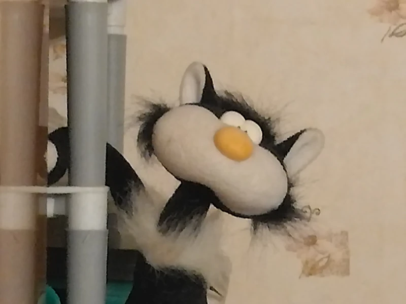 Съемка на основную камеру с зумом 5x