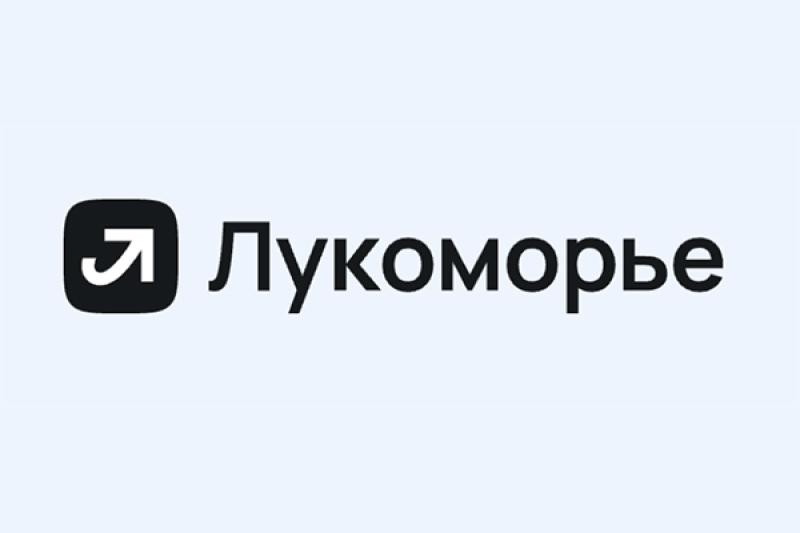 ИТ-экосистема «Лукоморье» и TelecomDaily провели исследование рынка корпоративной разработки